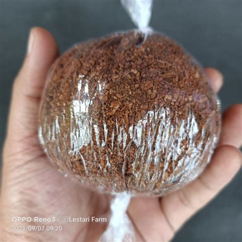 Jual Media Cangkok Cocopeat Shopee Indonesia