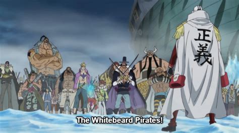 Never Watched One Piece