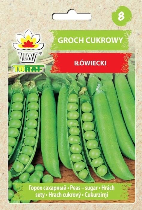 Groch cukrowy IŁÓWIECKI 50g Pisum sativum 24garden pl Nasiona