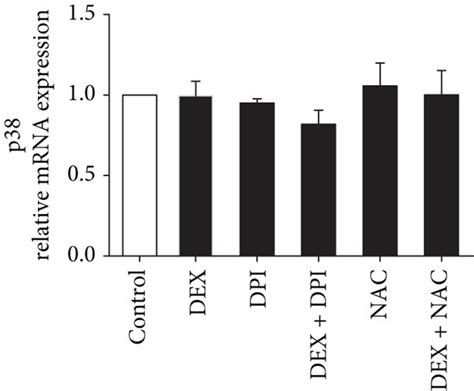 NOX Derived ROS Generation Regulates The ASK1 And P38 Phosphorylation