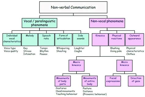 Overview Of The Main Forms Of Nonverbal Communication The Figure Has Download Scientific