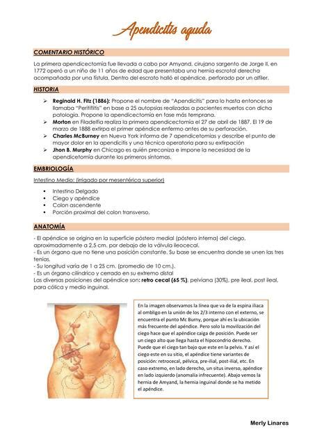 Apendicitis Aguda Sabidur A M Dica Udocz