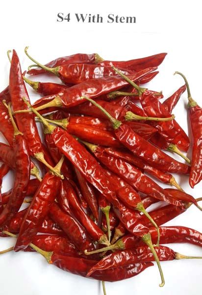 Teja Red Chilli At Best Price In Guntur Amaravati Impex