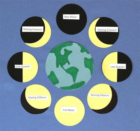 Labeled Phases Of The Moon For Kids