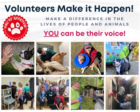 Volunteer Humane Society Of Skagit Valley Hssv