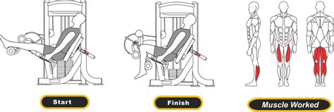 GS 9024 Leg Extension Prone Leg Curl Machine Dual Muscle Fit