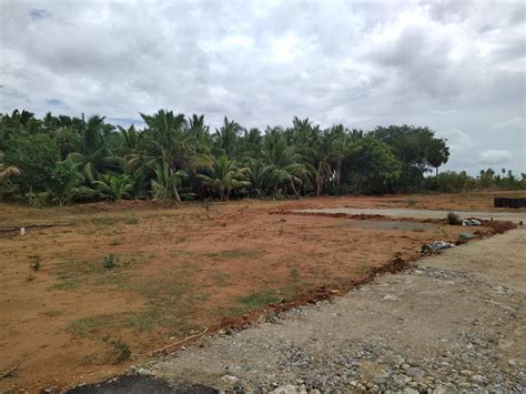 Dtcp Approved Plot For Sale In Valliyur Ngl Property