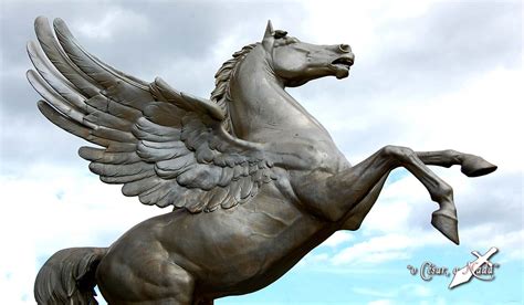 Pegaso El Caballo Volador De La Mitología ¡o César O Nada