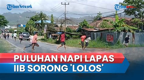 Puluhan Narapidana Kocar Kacir Di Lapas Kelas IIB Sorong 6 Kembali