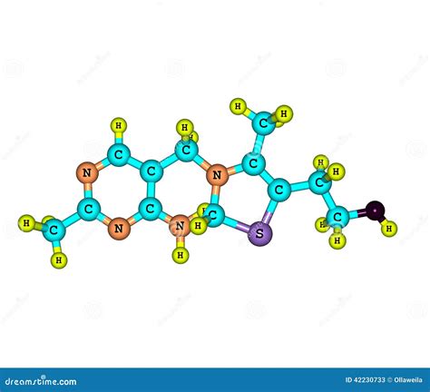 Thiamine Vitamin B Chemical Structure And Skeletal Formula Vector