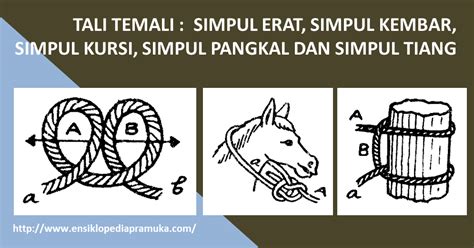 Tali Temali Simpul Erat Simpul Kembar Simpul Kursi Simpul Pangkal