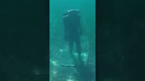 Descubre Las Maravillas Del Buceo En El Mar Del Norte De Holanda Una