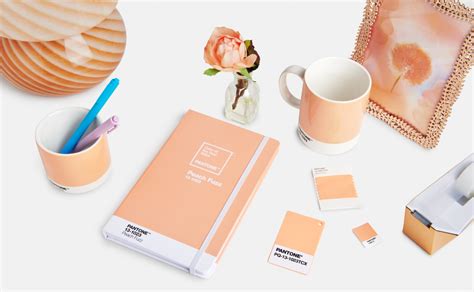 Pantones 2024 Color Of The Year Is Peach Fuzz Fashionista