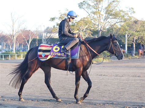 【注目馬動向】ダノンベルーガがドバイ・ターフの招待を受諾 スポーツ報知