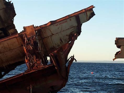 Experts break down what the mysterious rena project means 34