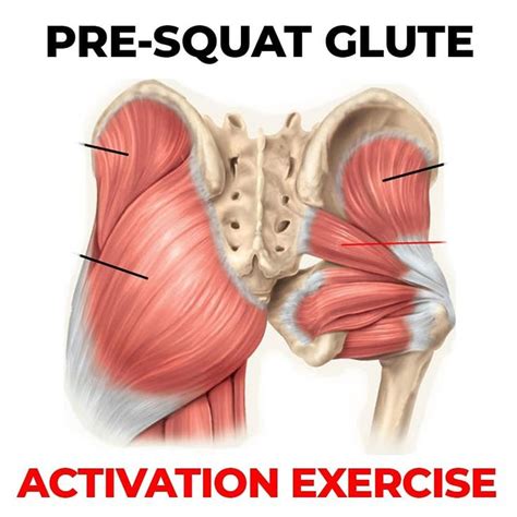 James Lu - RMT 🇨🇦 TO on Instagram: “🚨 3 BANDED SQUAT GLUTE ACTIVATION ...