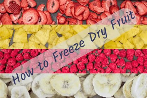 How To Freeze Dry Fruitdiscover More Than Strawberries