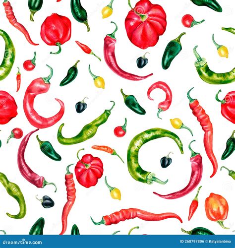 Various Hot Peppers Watercolor Seamless Pattern Isolated On White Stock Illustration