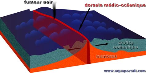 Dorsale Oc Anique D Finition Et Explications