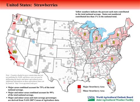 United States Strawberry Production