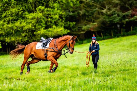 How To Structure A 20 Minute Lunging Session For Your Horse Horses