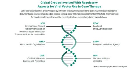 Gene Therapy Regulatory Landscape Cytiva