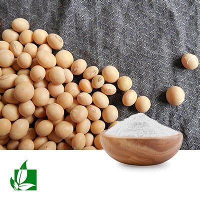 Bulk Daidzein 98%(Area Normalization Method) | Ingredients Online