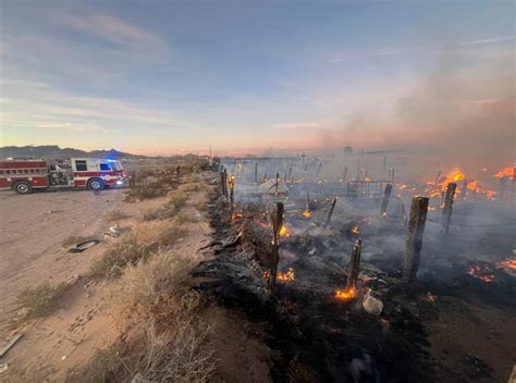 Rumiantes En Fuga La Polaka Periodismo Alternativo Ciudad Ju Rez