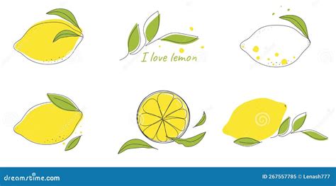 Lemon Sublimation Bundle Lemon Clipart Vector Hand Drawn Lemon Hand