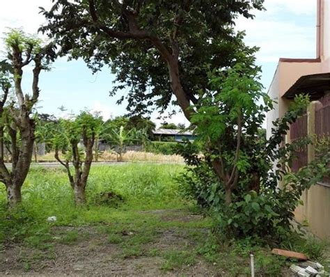Casa Real De Malolos 6787 Properties January 2023 On