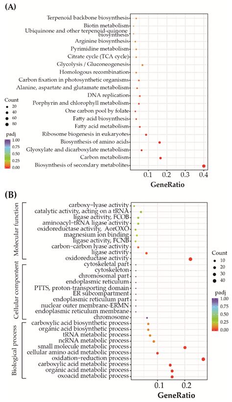 Toxics Free Full Text Toxicity Effects Of Combined Mixtures Of Bde