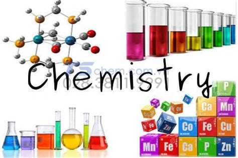 bazo va nhung dieu  biet ve bazo nhung bazo pho bien nhat