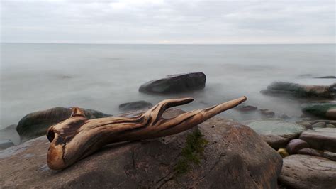 Free Images Beach Driftwood Sea Coast Sand Rock Ocean Wood