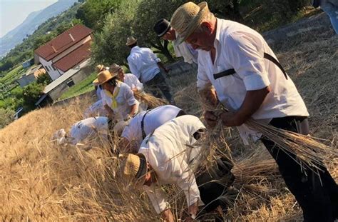 Ritorna La Grande Festa Del Grano A Casali Di Faicchio Bn