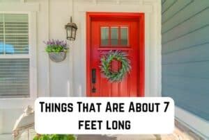 Common Things That Are About Feet Long Pics Measuringly