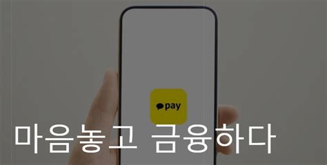 “카카오페이 알리에 4천만명 개인정보 동의없이 넘겨”