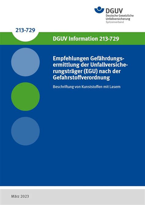 Dguv Information Empfehlungen Gef Hrdungsermittlung Der