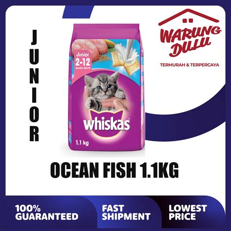 Jual WHISKAS JUNIOR OCEAN FISH 1 1KG Shopee Indonesia