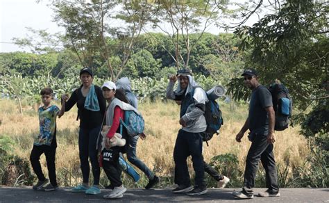 Qu Instituciones Apoyan A Los Migrantes En M Xico