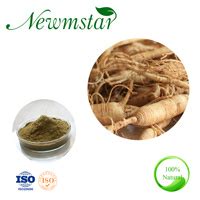 Health Care Supplement Plant Extract American Ginseng Extract Ginseng