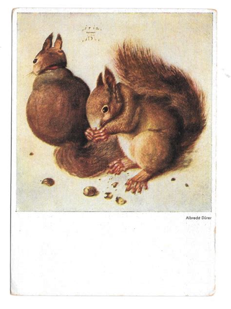 Albrecht Durer Eichhornchen Squirrels Franz Hanfstaengl Munich X Art