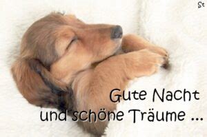 Gute Nacht Gr E Spr Che Texte Kurze Reime Schlaf Sch N Tr Ume