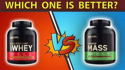 Whey Protein Vs Mass Gainer Types Functions Difference Must Watch Before Buy Health