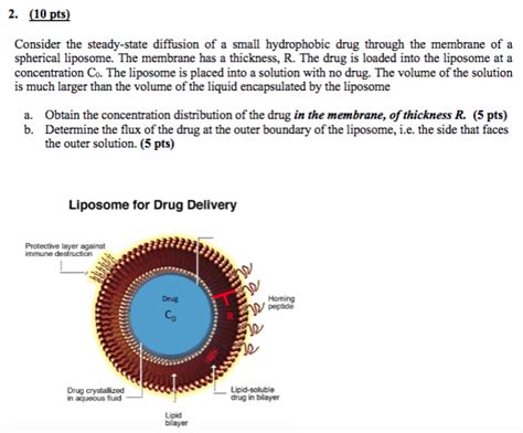 Pts Consider The Steady State Diffusion Of A Chegg