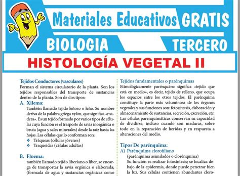 Histolog A Vegetal Ii Para Tercer Grado De Secundaria Gratis