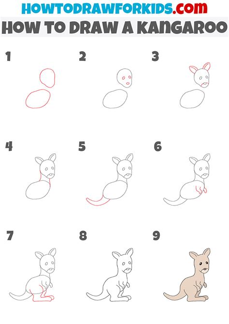 How to Draw a Kangaroo - Easy Drawing Tutorial For Kids