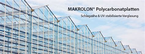 Polycarbonat PC und MAKROLON Zuschnitt nach Maß