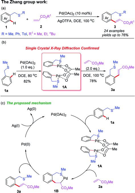 A Thioether Directed Pd Ii Catalyzed C Sp H Olefination Of