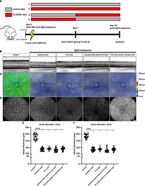 Frontiers Microglia Depletion Repopulation Does Not Affect Light