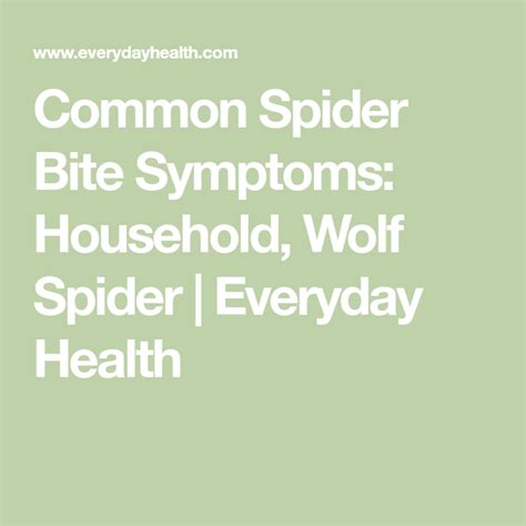 Common spider bite symptoms household wolf spider – Artofit